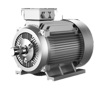 MV31 - Motor síncrono de imán permanente trifásico de baja tensión