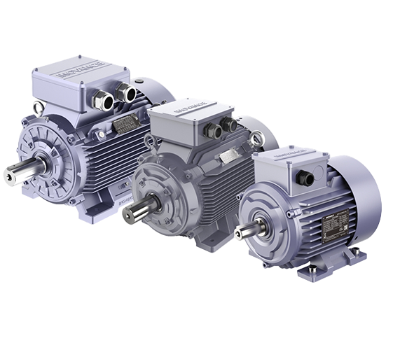 MV3X - Motor síncrono de imán permanente industrial de baja tensión